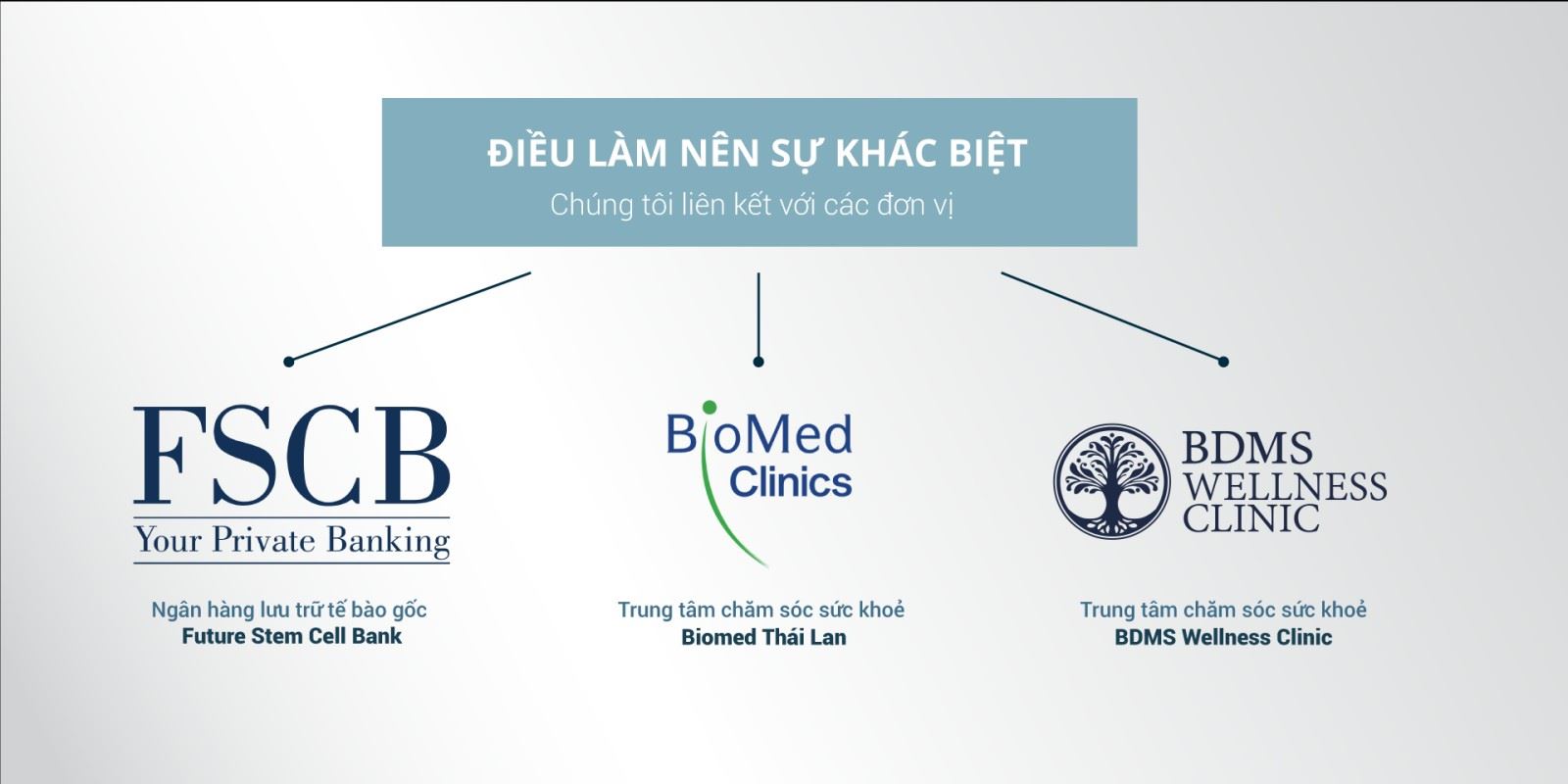lưu trữ tế bào gốc